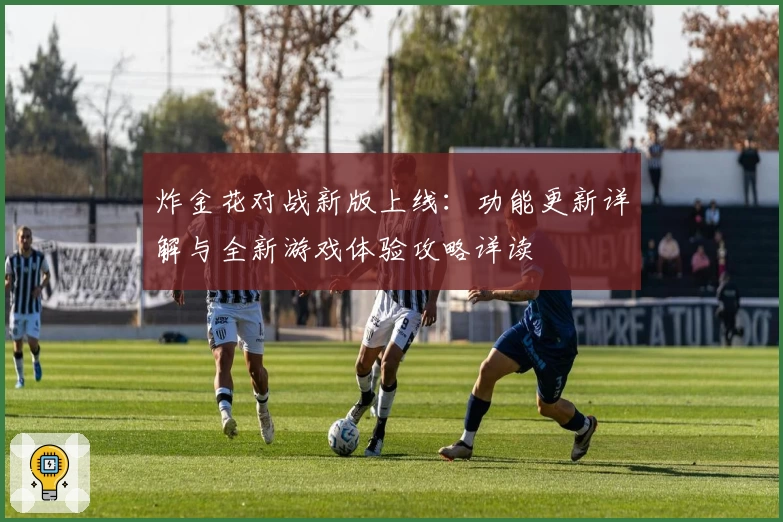 炸金花对战新版上线：功能更新详解与全新游戏体验攻略详读