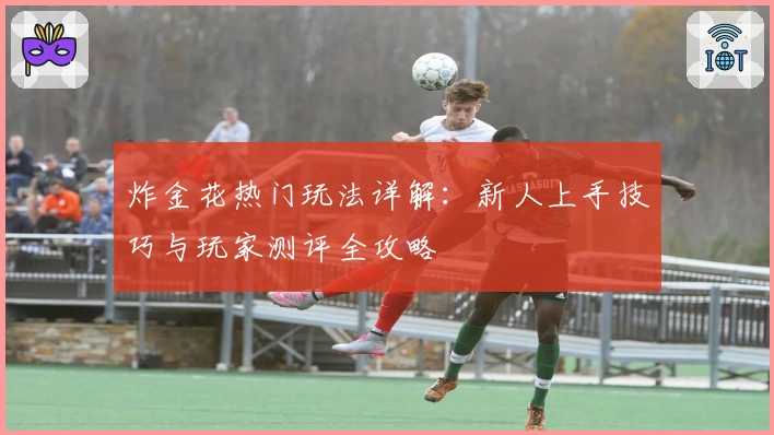 炸金花热门玩法详解:新人上手技巧与玩家测评全攻略
