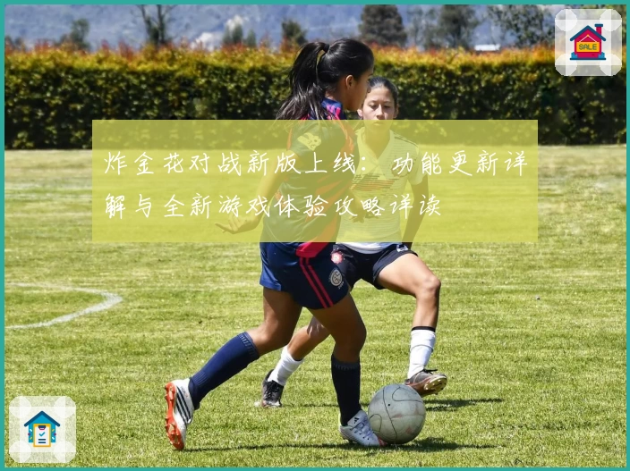 炸金花对战新版上线：功能更新详解与全新游戏体验攻略详读