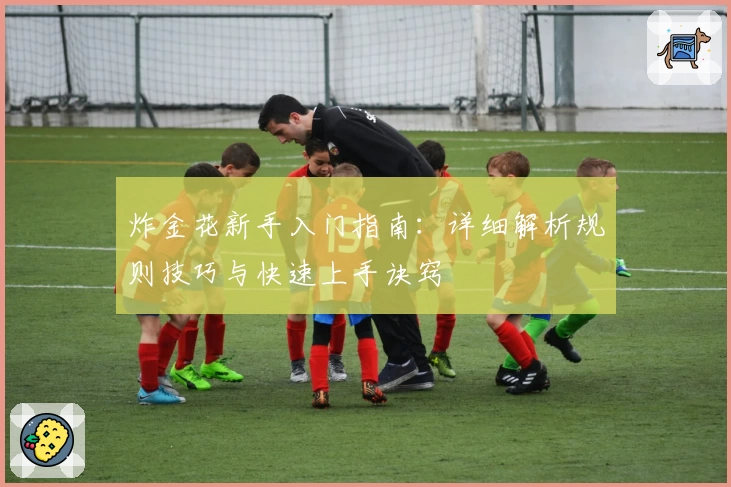 炸金花新手入门指南:详细解析规则技巧与快速上手诀窍