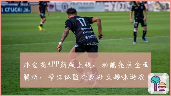 炸金花APP新版上线,功能亮点全面解析,带你体验全新社交趣味游戏