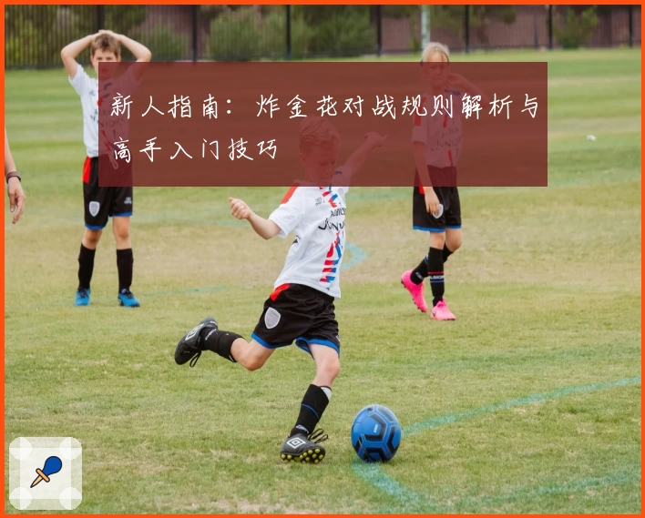 新人指南：炸金花对战规则解析与高手入门技巧