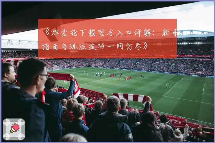 《炸金花下载官方入口详解:新手指南与玩法技巧一网打尽》