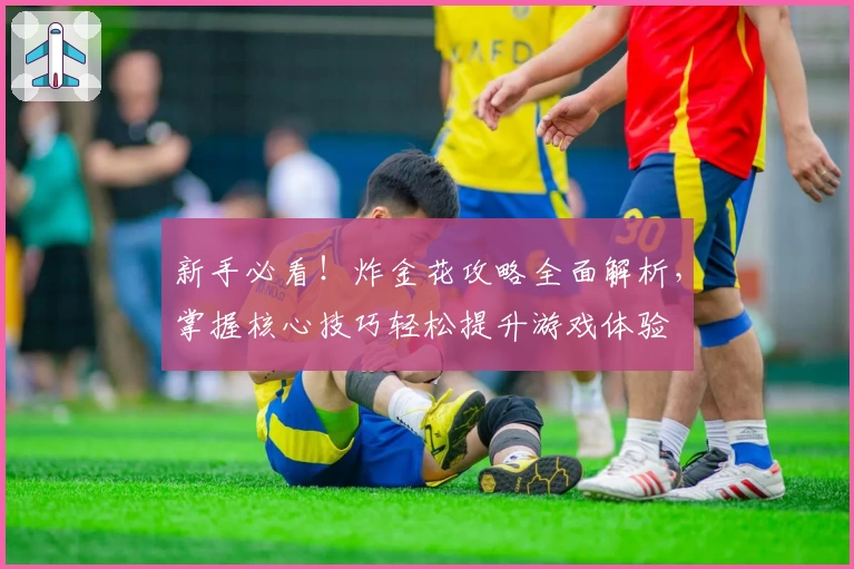 新手必看!炸金花攻略全面解析,掌握核心技巧轻松提升游戏体验