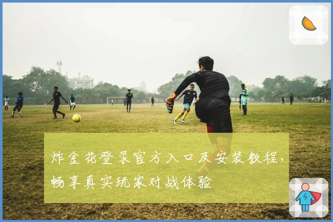 炸金花登录官方入口及安装教程，畅享真实玩家对战体验